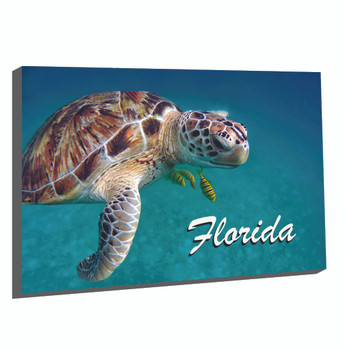 FL1 Turtle Foil Magnet Florida
