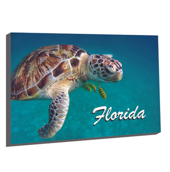 FL1 Turtle Foil Magnet Florida