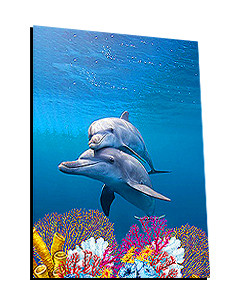 Dolphin Foil Magnet Plain