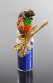 Manatee  Sand Bottle Magnet