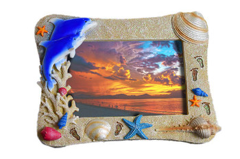 Dolphin 4"x6" Frame