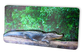 Double Foil Magnet Gator