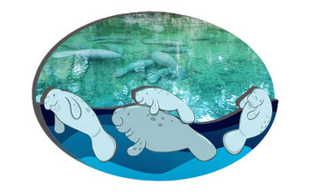 FD5018 Double Epoxy Foil Manatee Magnet