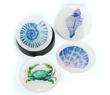 Shell Coaster Set 4