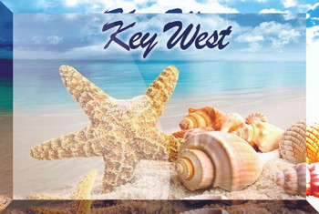 Glass Magnet Shells-Key West