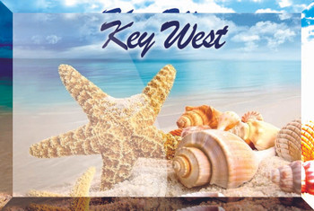 Glass Magnet Shells-Key West
