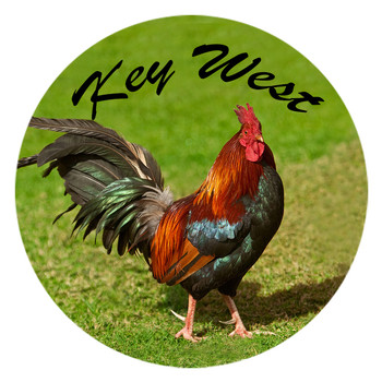 Glass Magnet Rooster - Key West