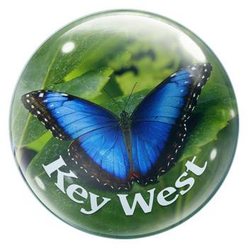 Glass Magnet Butterfly - Key West
