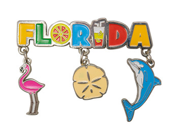 Florida Enamel Sand Dollar Flamingo Dolphin