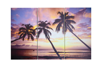 Palm Sunset Canvas 3 PCS SET