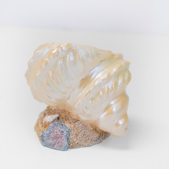 Shell Air Planter H3113