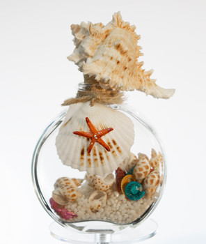 Glass Bottle with Shells 4.5"