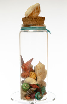 M Size Bottle With Sea Glass Topper 5"