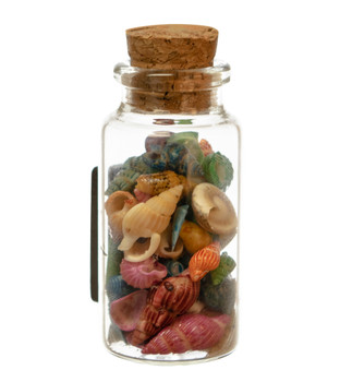 Glass Magnet w/ Sand & shells no Topper 2.5"