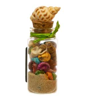 Glass Magnet  w/ Sand & shells w/ Shell Topper 3.5"