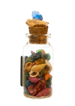 Glass Magnet  w/ Sea Glass 3.5"