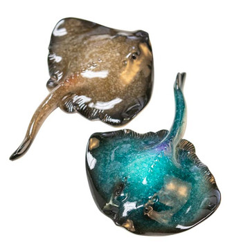 Magnet Sting Ray s/2