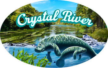 Epoxy Foil Manatee Magnet-Crystal River