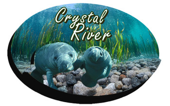 Double Epoxy Foil Manatee Magnet-Crystal River