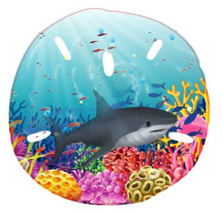 Shark Sand Dollar Ornament-49N