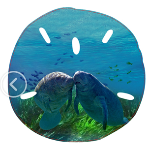 Manatee Sand Dollar Ornament-53