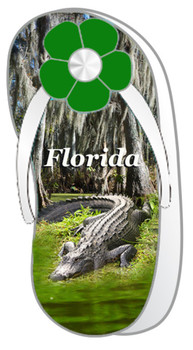 Foil Clip Magnet Gator