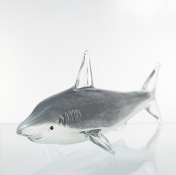 G101 Glass Shark