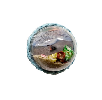 Bubble Mag baby Turtle