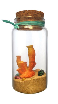 Medium Bottle With Corla Inside