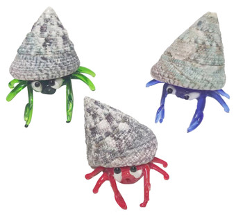 Mini Hermit crab Assorted