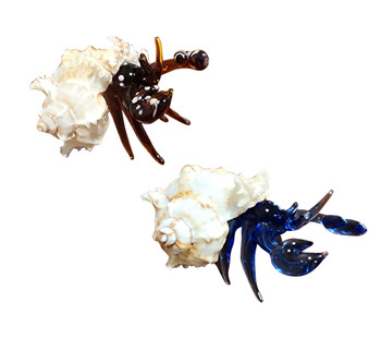 Hermit Crab 3", Brown, Blue, Clear