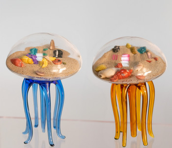 Jellyfish with Sand  Fig