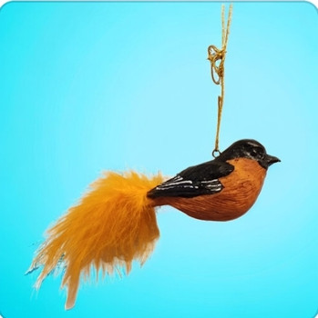 Black Capped Chickadee with Feathers