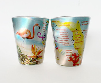 Florida Map Shotglass