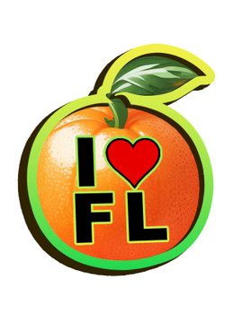 Foil 3D Magnet Florida Orange