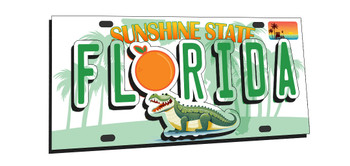 FD5248 Foil magnet Florida Plate