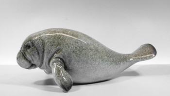 5418 Manatee