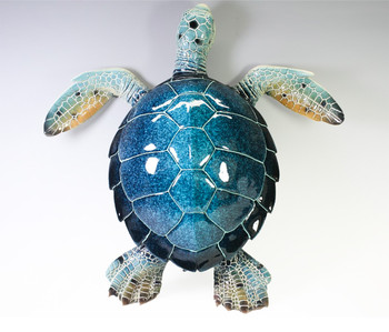 5419 Blue Turtle