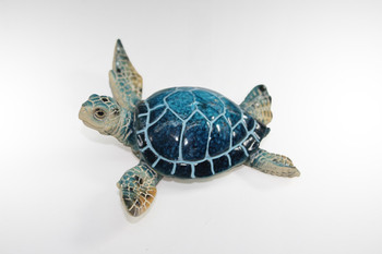 5406 Turtle Blue