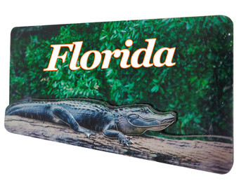 5006 Florida Foil Gator 3D Foil