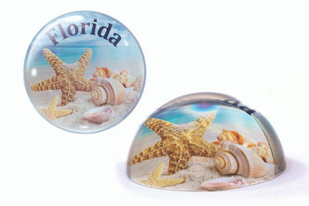 06 Florida Paperweight