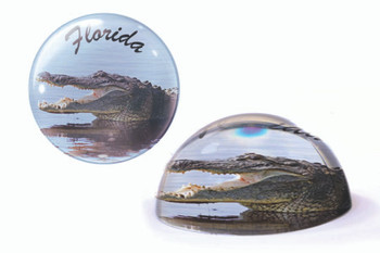 08 Florida Paperweight Gator