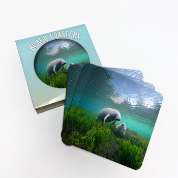 117 Coasters Manatee