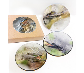 1011 Gator Coaster Set 4