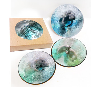 1012 Manatee Coaster Set 4