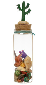 BMD Large Bottle Cactus