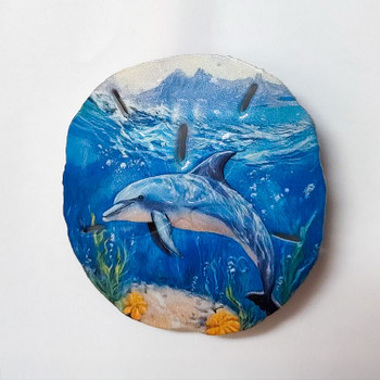 59 Sand Dollar Magnet Dolphin