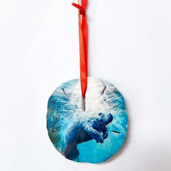 60 Sand Dollar Ornament Manatee