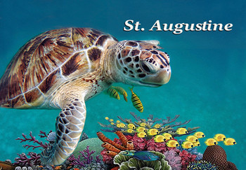 Turtle Foil Magnet St. Aug