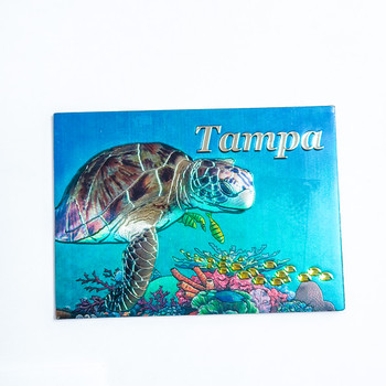 Turtle Foil Magnet Tampa
